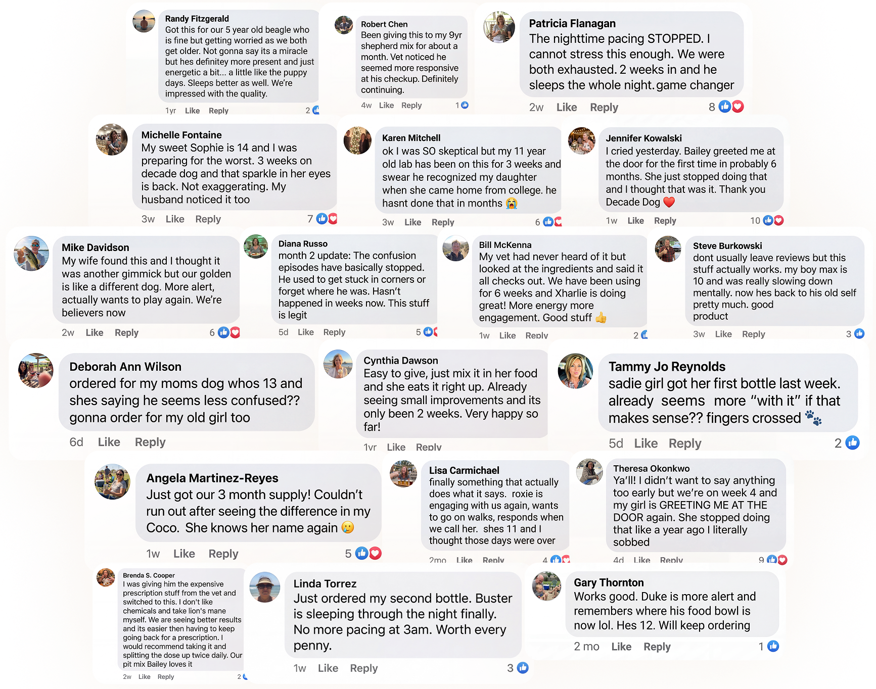Review Cloud